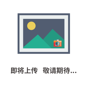 德國VEM電機(jī)